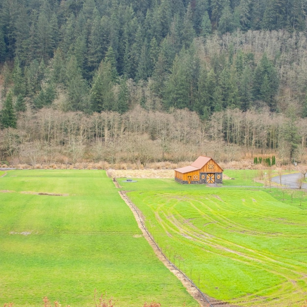 Foto una pequeña casa se sienta en un campo con una pequeña casa en el fondo