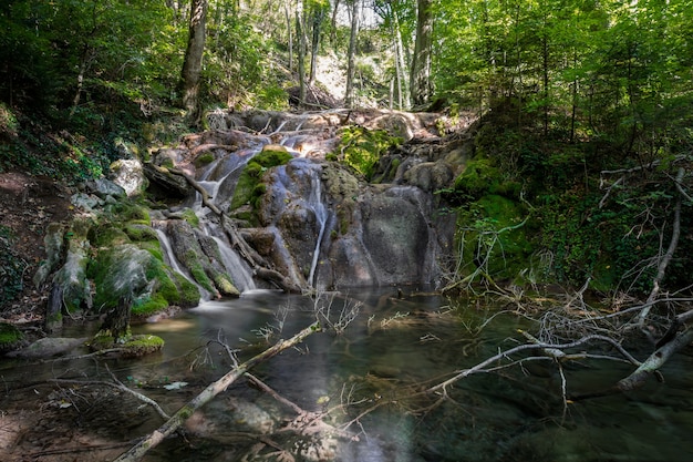 Pequeña cascada en el bosque, Rumania.