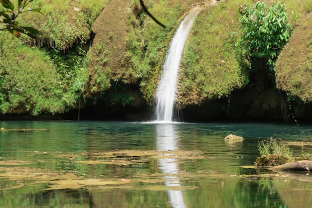 Pequeña cascada en el bosque