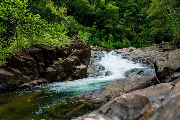 La pequeña cascada en el bosque