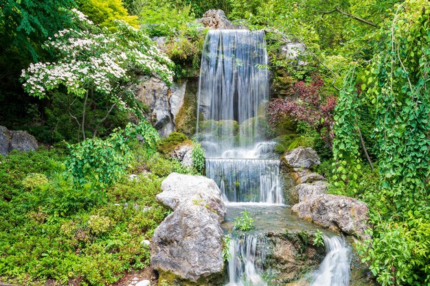 Pequeña cascada en el bosque