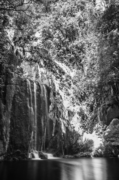 Pequeña cascada cerca de un río en blanco y negro