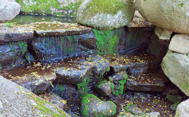 Pequeña cascada y gran roca en el parque de otoño