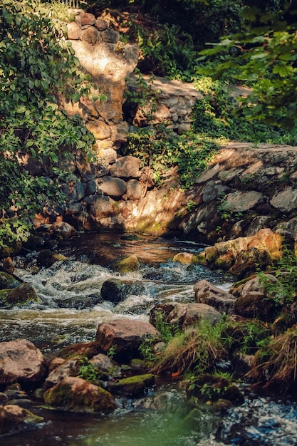 Una pequeña cascada en el jardín pequeño arroyo de agua cascada de agua en piedras fondo de verano