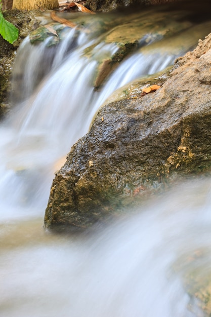 Pequeña cascada en un jardín