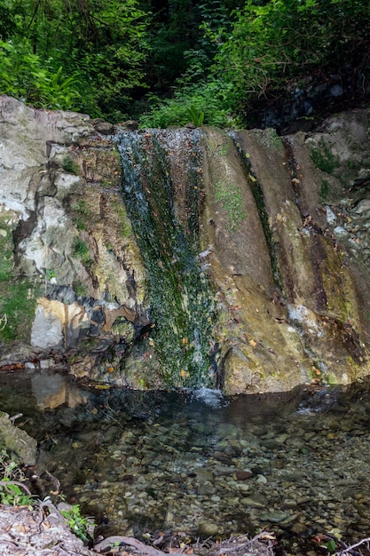 Una pequeña cascada en medio de un bosque.