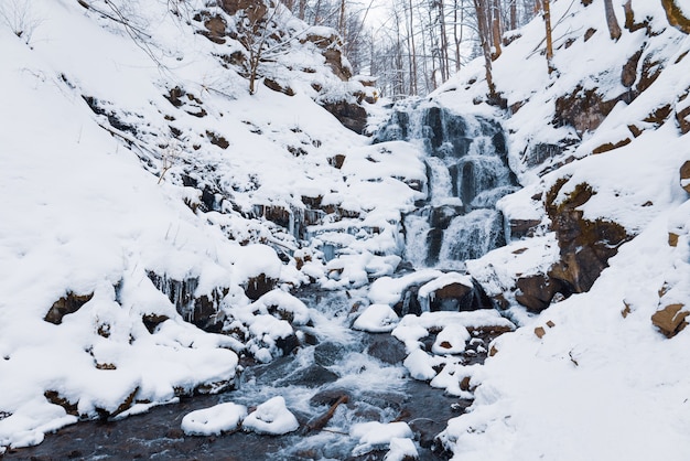 Pequeña cascada de montaña de flujo de agua helada entre piedras húmedas cubiertas de nieve blanca