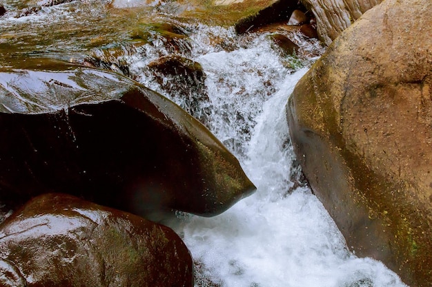 Pequeña cascada de montaña en las rocas cubiertas de musgo en el bosque