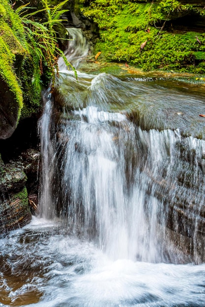 Foto pequeña cascada que corre dentro de la selva tropical en la ciudad de carrancas en minas gerais