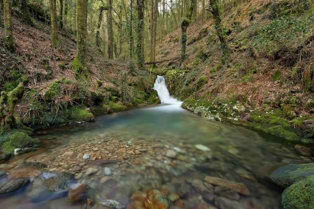 Pequeña cascada en el Río de la Fraga en Galicia, España.