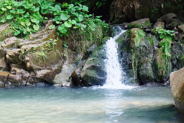 Pequeña cascada de río