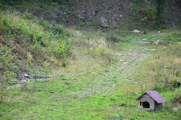 Una pequeña caseta al aire libre en un campo de hierba.