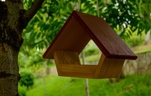 Una pequeña casita para pájaros de madera con un techo rojo oscuro cuelga del árbol en un parque cerca del mar. para n