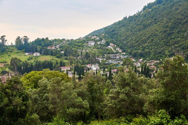 Pequena cidade nas montanhas com grama verde e fundo de árvores