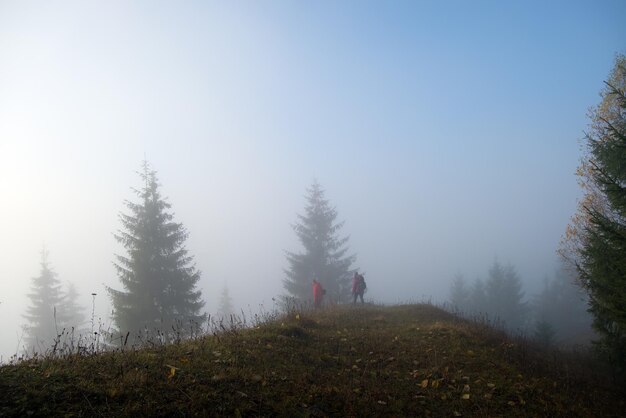 Pequena figura de caminhantes solitários desfrutando de seu tempo na trilha da floresta selvagem em um dia de outono nebuloso