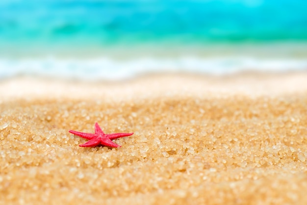 Pequena figura de estrela do mar na areia no fundo da praia e do mar
