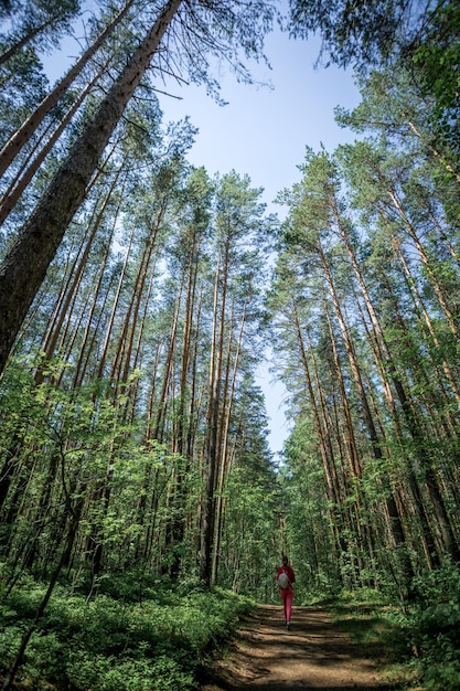 Pequeña figura de niña en tela roja caminando por un camino profundo en el majestuoso bosque Gran escala de la naturaleza y pequeña unidad humana con la naturaleza desconectado senderismo descansando en la naturaleza Orientación vertical