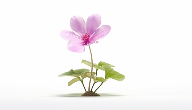 Pequena flor isolada vista frontal Elevação de uma flor em miniatura