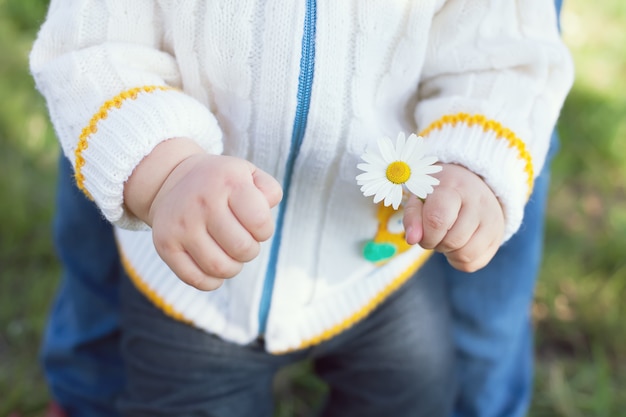 Foto pequeña flor en la mano de un niño pequeño