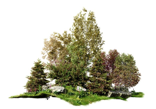 Foto pequena floresta de outono isolada com traçado de recorte em fundo branco renderização de ilustrações 3d
