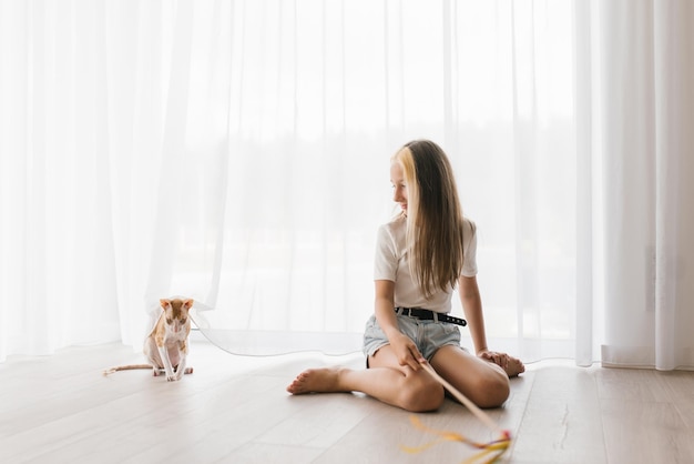 Pequeña y hermosa amante caucásica de un gato cornish rex, una niña con una cara feliz en su tiempo libre