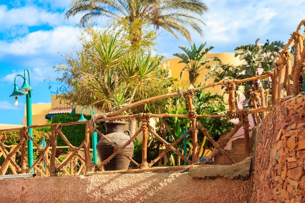 Pequeña y hermosa dracaena verde (árbol de dragón) en maceta en el jardín