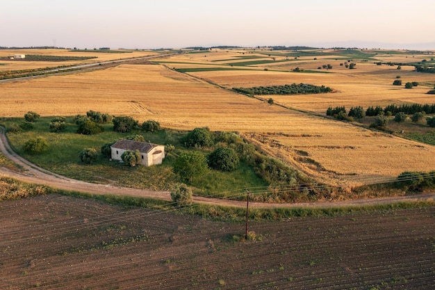 Pequena igreja em um prado cercado por oliveiras e campos de trigo ao nascer do sol Halkidiki Grécia