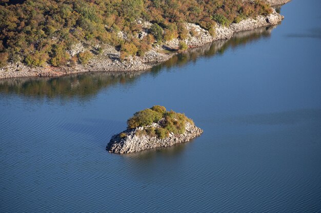 Una pequeña isla en el agua con árboles en la parte superior.