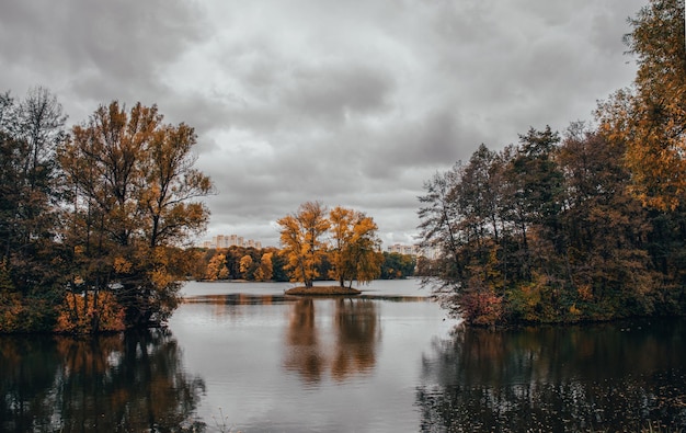 pequeña isla con árboles amarillos en el parque de otoño con un gran lago