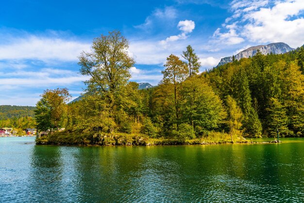 Pequeña isla con árboles en el lago Koenigssee Konigsee Parque Nacional Berchtesgaden Baviera Alemania