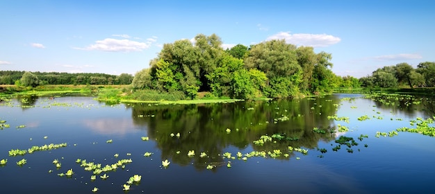 Pequeña isla en un hermoso río en verano