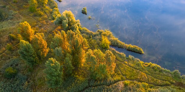 Una pequeña isla en el lago con árboles otoñales amarillos.