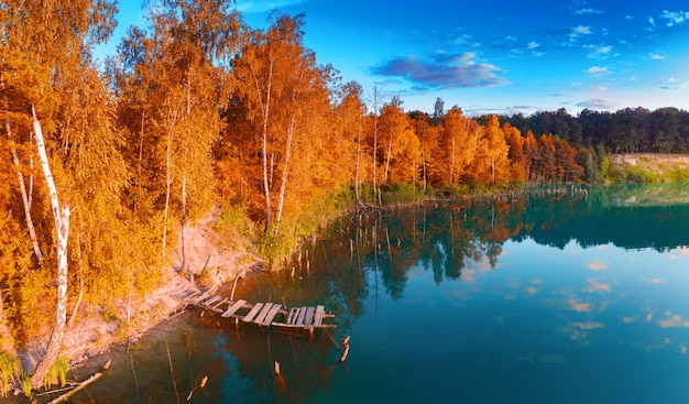 Una pequeña isla en el lago con árboles otoñales amarillos.