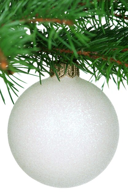 Pequeña joya en el árbol de Navidad verde sobre fondo blanco