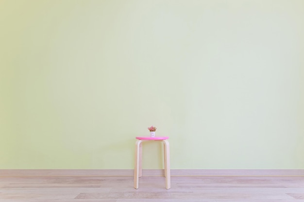 Una pequeña y linda planta en maceta en una silla rosa contra un papel tapiz de color menta