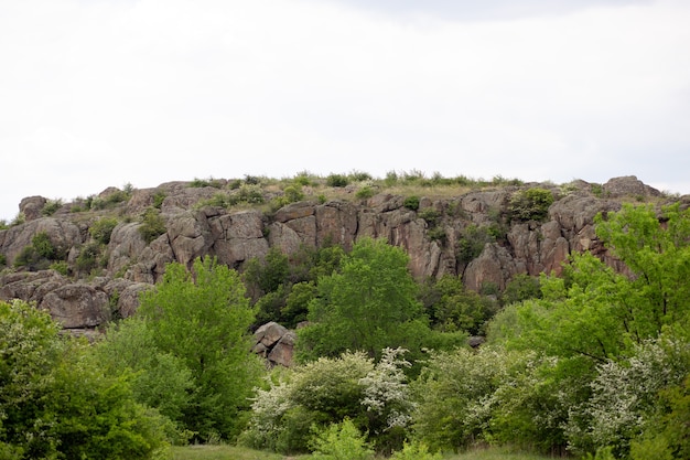 Pequeña montaña gris y árboles verdes jóvenes