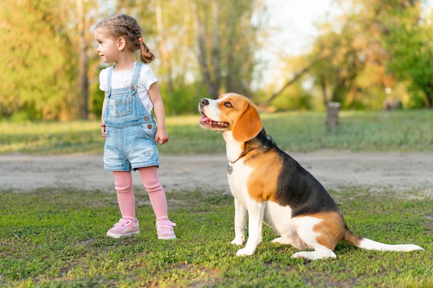 La pequeña muchacha caucásica camina con su perro en el verano en el parque en la naturaleza. Raza beagle