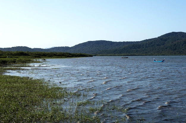 Pequena parte do mar com vegetação na costa ao lado das montanhas