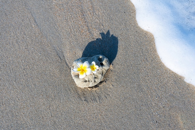 Una pequeña piedra de una forma suave e interesante es bañada por las olas en la playa. Concepto de calma y relajación junto al mar