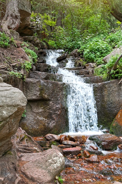 Una pequeña y pintoresca cascada en el bosque.