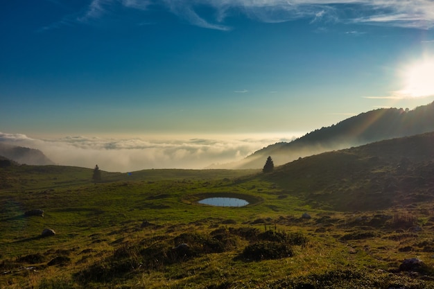 Pequena piscina de água para vacas da montanha