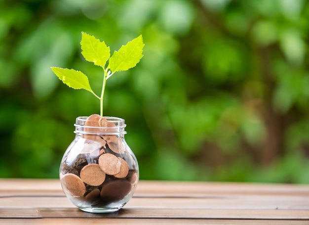 Una pequeña planta está en un vaso y la palabra árbol en él.