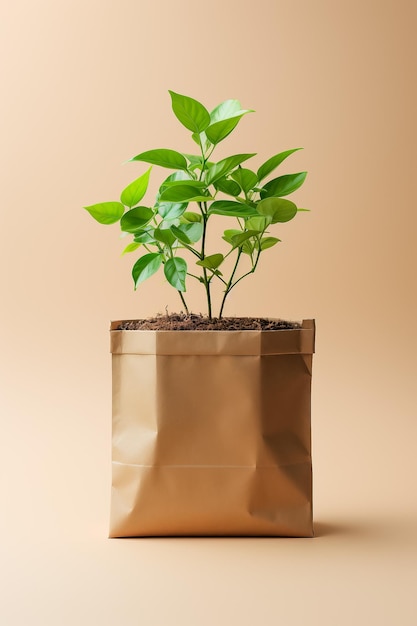 Pequena planta verde em saco de papel marrom contra fundo marrom Conceito de sustentabilidade