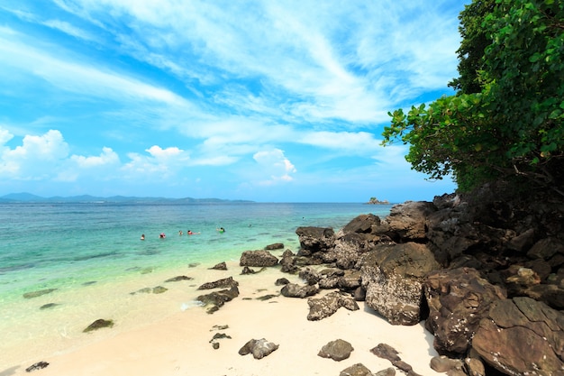 Pequeña playa tropical con rocas