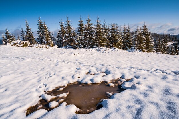 Pequena poça de neve branca derretida sob o sol quente da primavera nas incomuns montanhas dos cárpatos