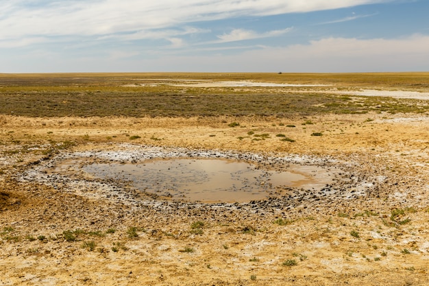 Pequena poça na estepe em um dia ensolarado, Cazaquistão