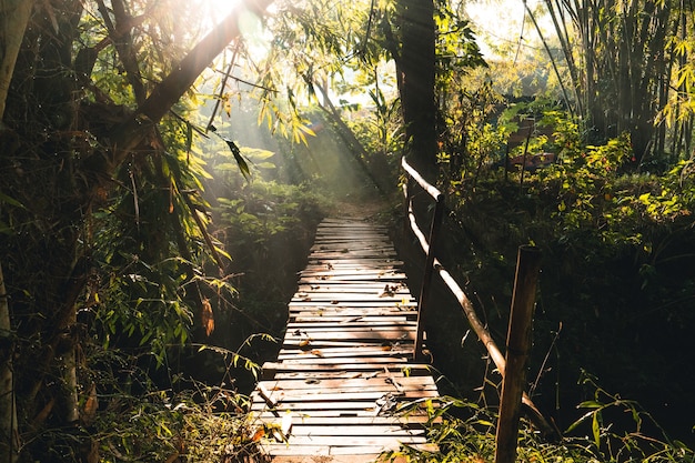 Pequena ponte de madeira na aldeia pela manhã