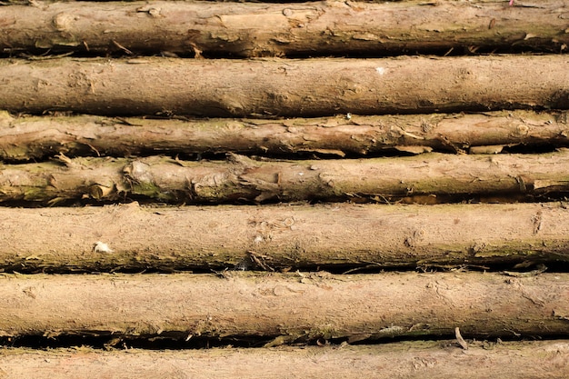 Foto pequeña superficie de madera