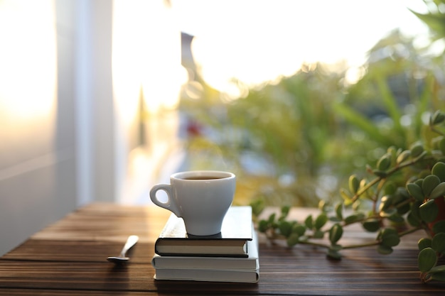 Pequena xícara de café e notebooks e planta na mesa de madeira