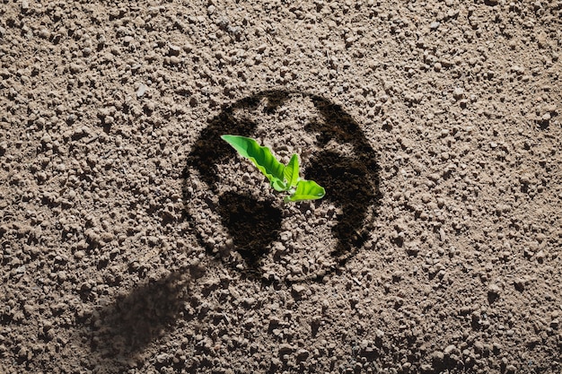 Pequenas árvores plantadas no solo em forma de terra para um conceito verde. conceito do dia da terra